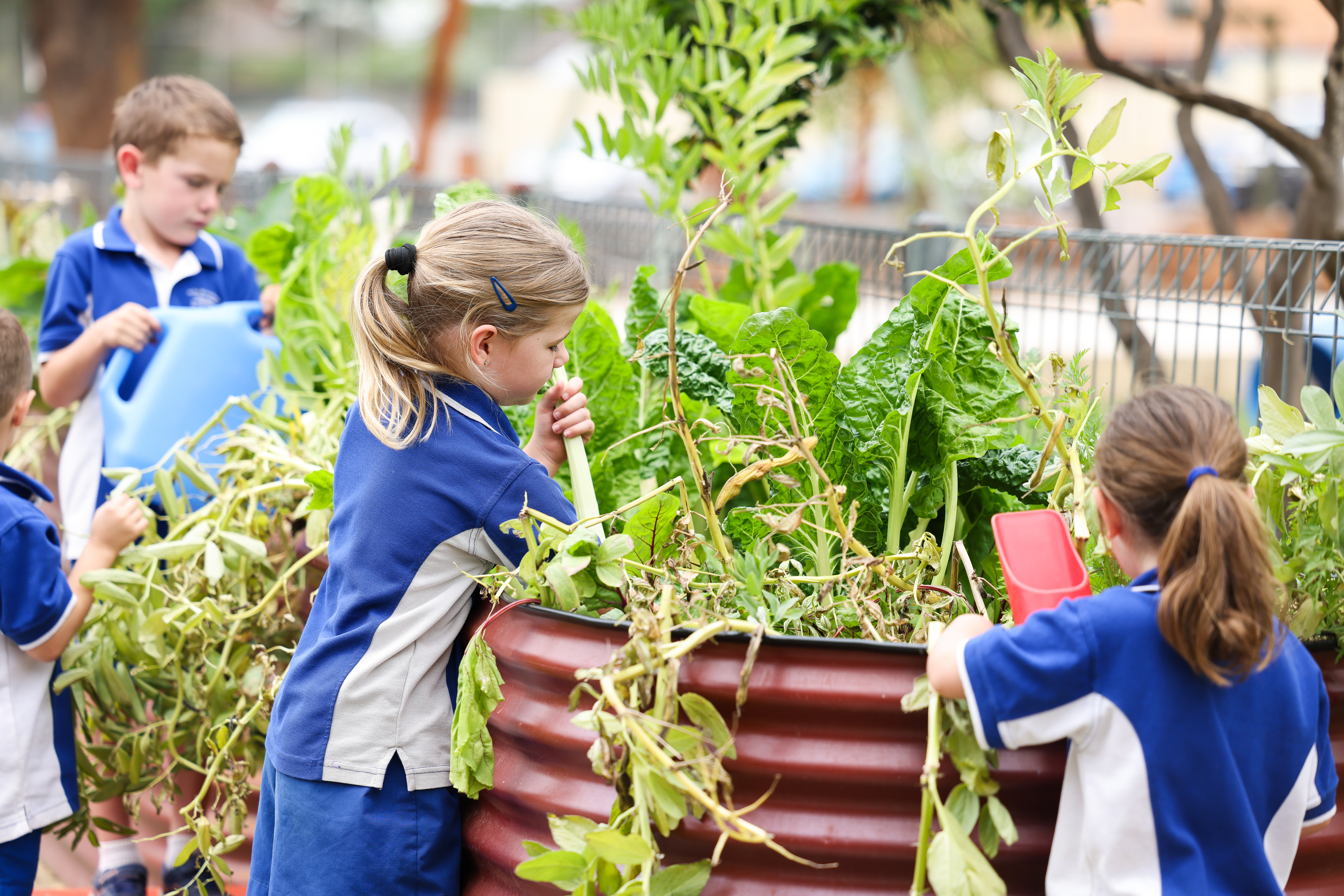 Beyond the Classroom 2025
